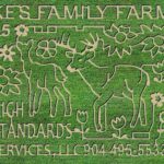 Aerial view of a corn maze depicting two deer, floral patterns, and text: “SYKES FAMILY FARMS , HIGH STANDARDS LAND SERVICES, LLC, ,” all carved into green fields